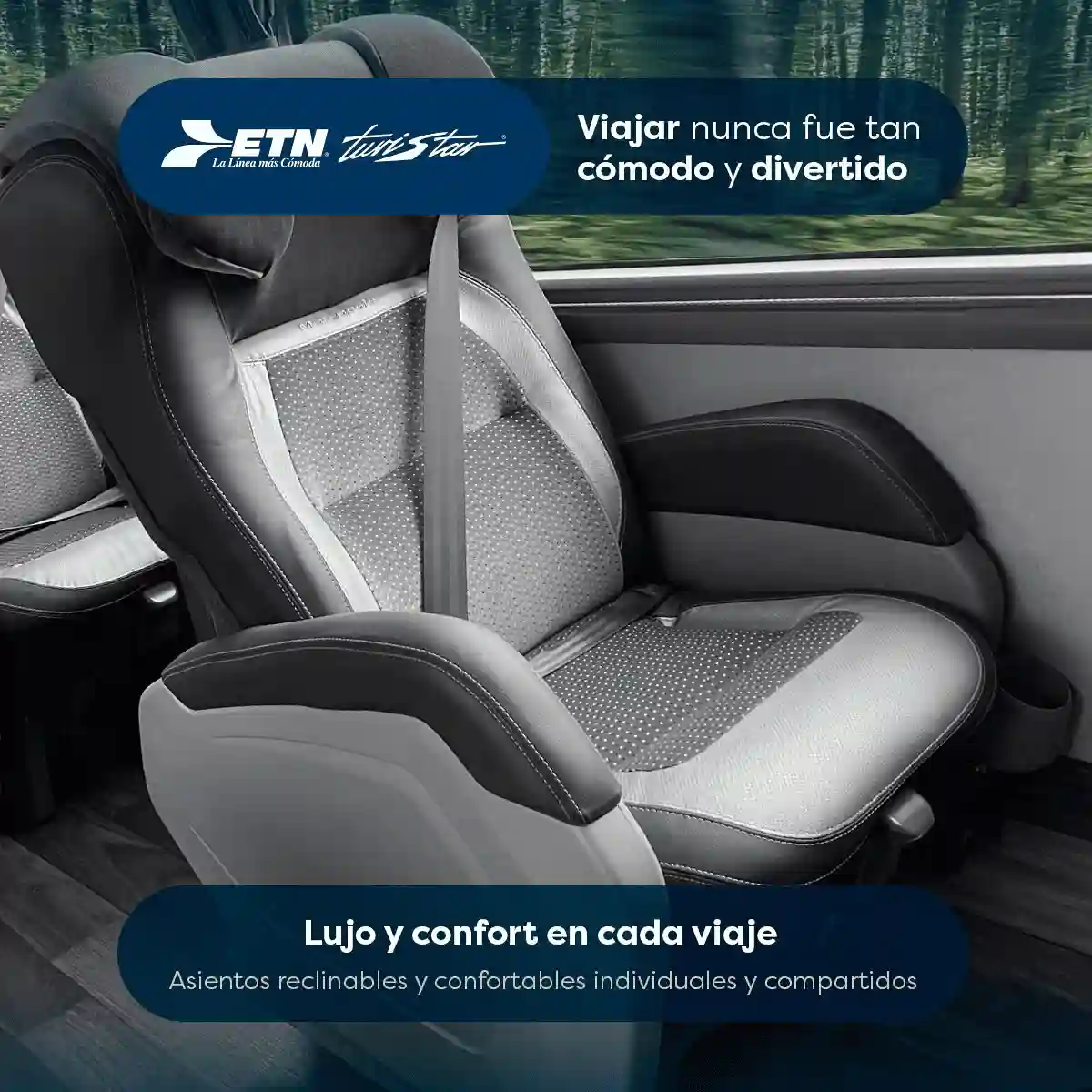 Asiento confortable de autobús Costa Line para renta