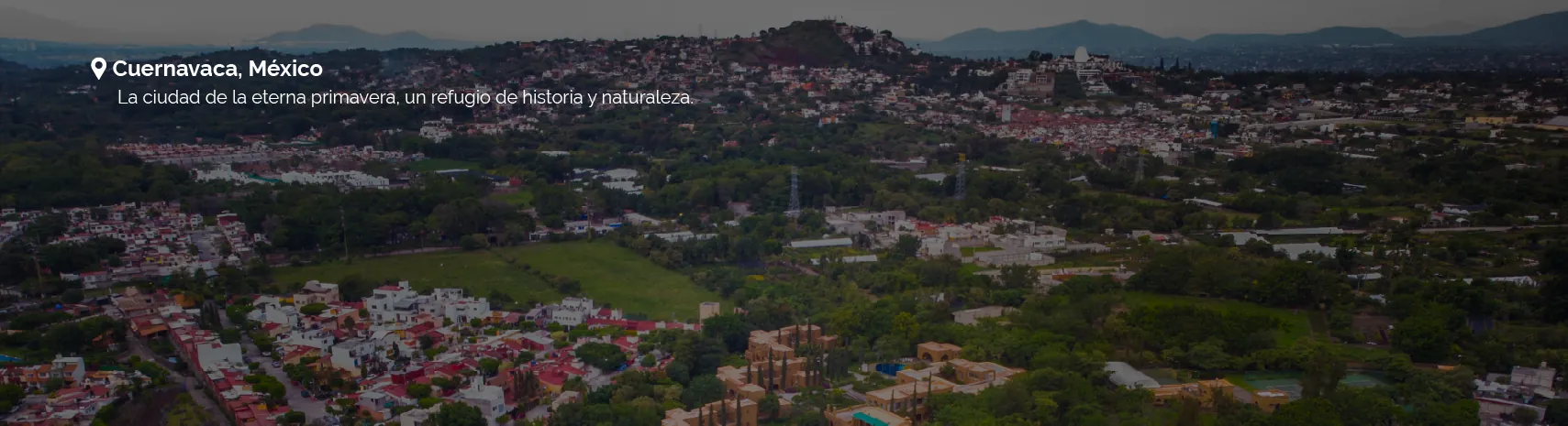 Banner 1