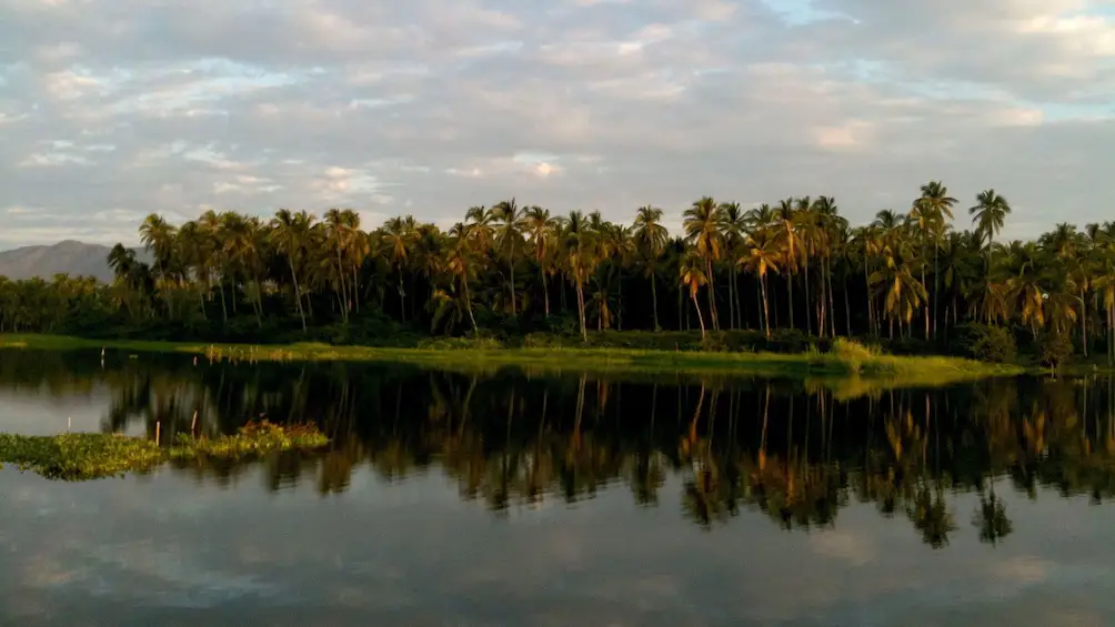 Laguna
