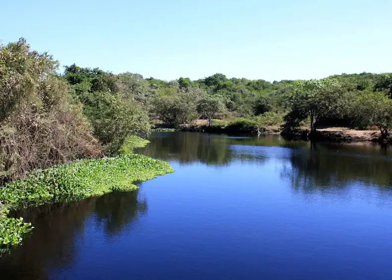 Laguna de Coyuca
