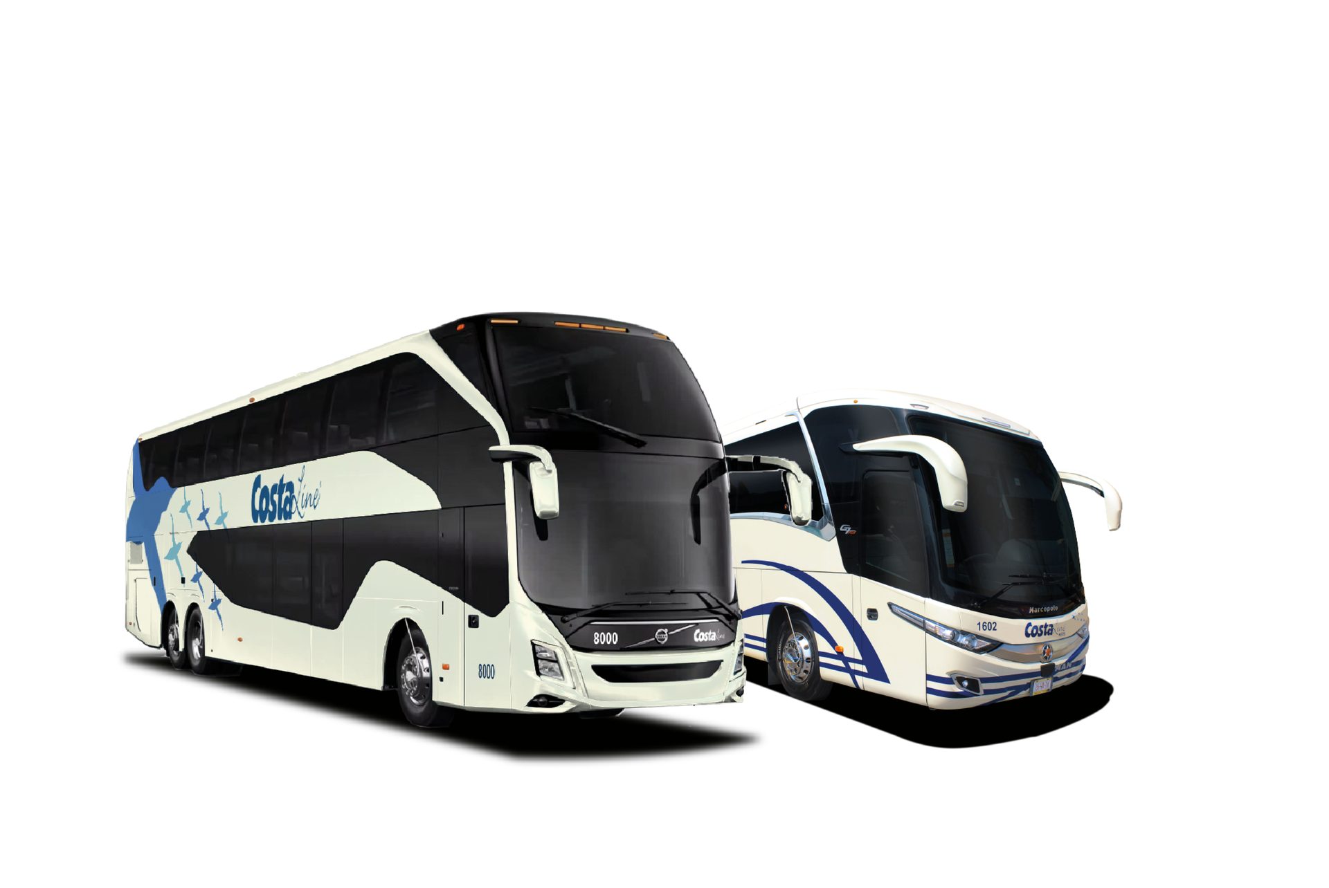 Flota Costa Line
