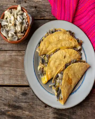 Quesadillas de guisado en Ciudad de México