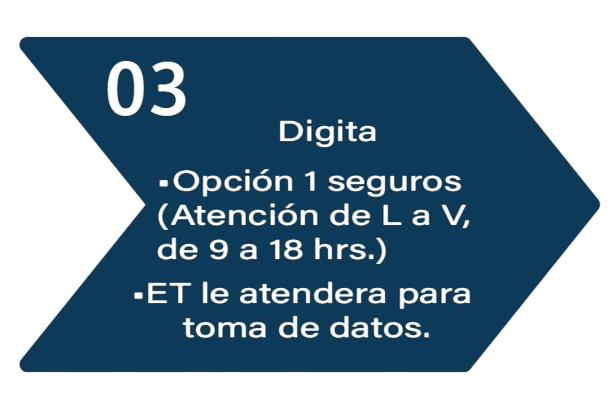 Seguro 3
