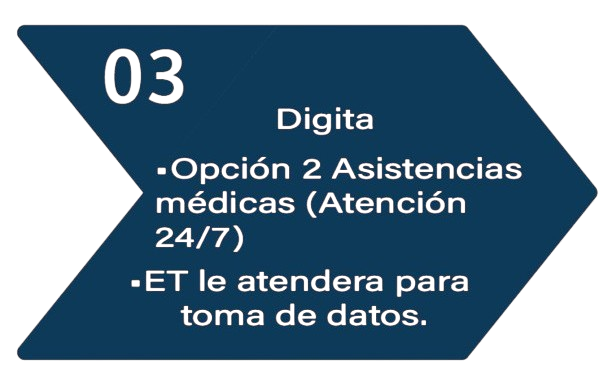 Seguro 3