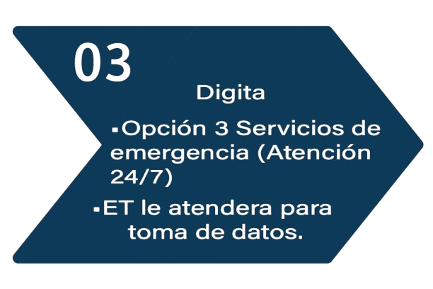 Seguro 3