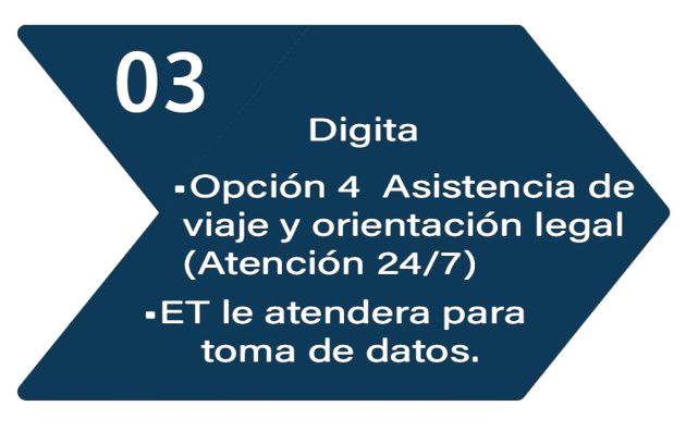 Seguro 3